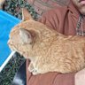 El locazo profil fotoğrafı