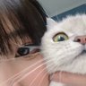 綠 的头像