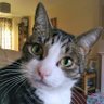 Profilbild von Caz