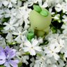 しおりん profil fotoğrafı