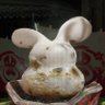 Profilbild von ShiningSilver