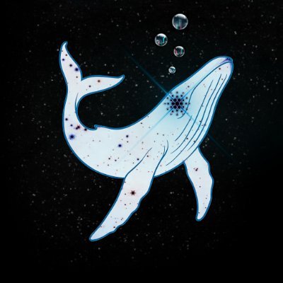 whaleUTXO's profile picture