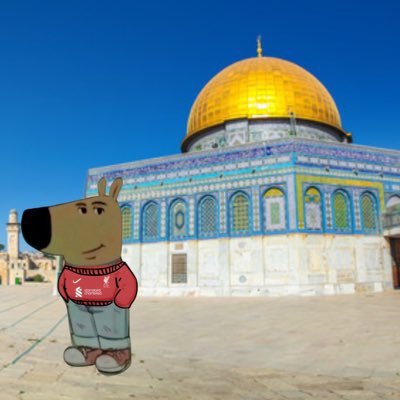 amxlfc's profile picture