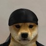 Profilbild von DegenerateGambler