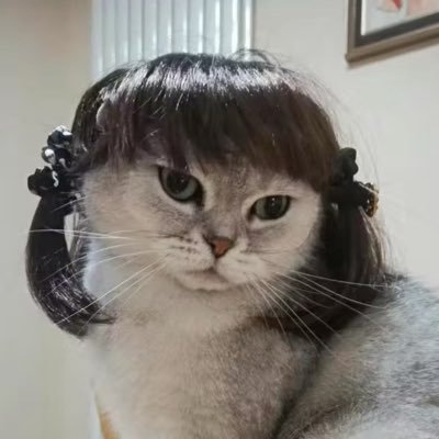 ling2orm's profile picture