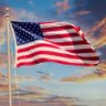 Patriot's profile picture