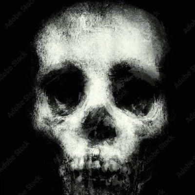 Memes Extremamente Errados Que te Levarão à Cadeia's profile picture