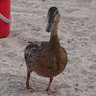 Nick Werner's profile picture