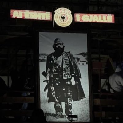 albbibe's profile picture
