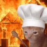 Profilbild von chefzero 💹🧲