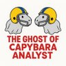 Profilbild von Ghost Of Capybara Analyst