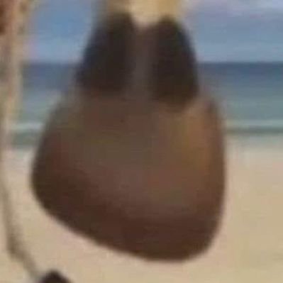 AcervoMelman's profile picture