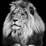 EnthusLEE DEE profil fotoğrafı