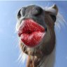 Μουργος profil fotoğrafı