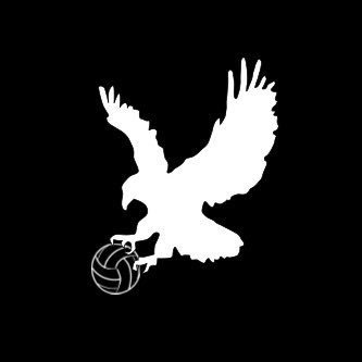 Voleybol Kartalı's profile picture