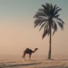 سعيد الشهراني profil fotoğrafı