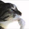 .. profil fotoğrafı
