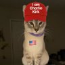 Lolacat โ๏ธ๐ฎ๐ฑ๐บ๐ธ's profile picture