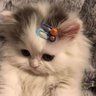 Dnlnwza. profil fotoğrafı
