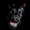 DevlDawg profil fotoğrafı