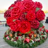Фото профиля A