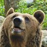 Profilbild von Melo