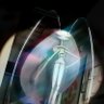 Profilbild von A