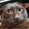 Kerzie's profile picture