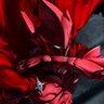 Фото профиля Arise