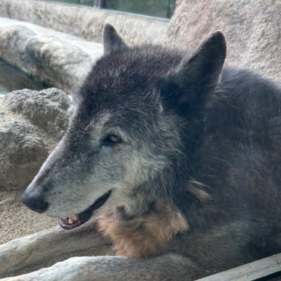 男の中の裏の男's profile picture