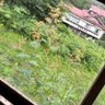 燦燦 profil fotoğrafı