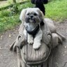 Yorkshire Jules's profile picture
