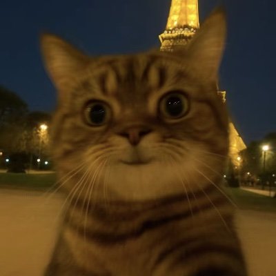 yigeklf's profile picture