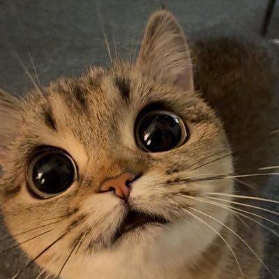 ร้อยเพ้นซ์ ݁ ˖Ი𐑼⋆'s profile picture