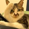 Profilbild von guang