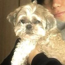 ★⋆'s profile picture
