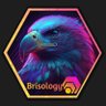 Profilbild von Brisology