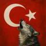 Profilbild von Bayrakliman 🇹🇷🇦🇿