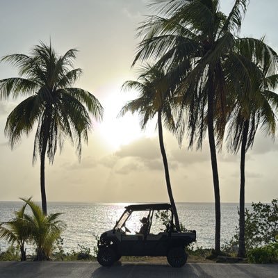 High_Rise_Trini's profile picture