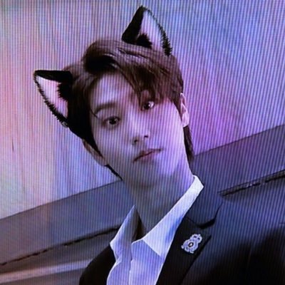 staryier's profile picture