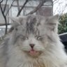 じゅ〜べー 的头像