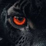 TenDua's profile picture