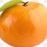 Фото профиля 🍊みかんの溜息🍊