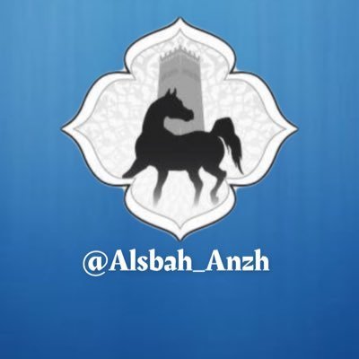 alsbah_anzh's profile picture