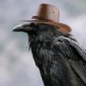 Profilbild von Lucky Raven