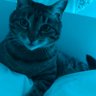Hilde profil fotoğrafı