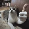 Фото профиля Ronald Drunk