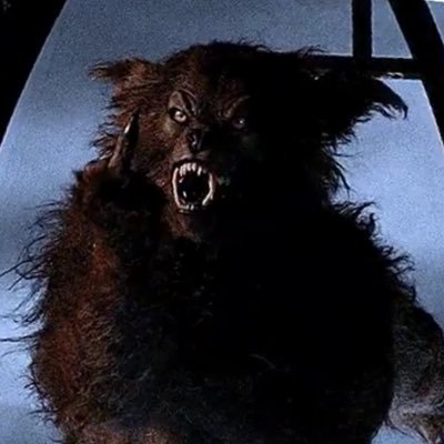 80shorrormovies's profile picture