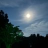 Фото профиля Luci