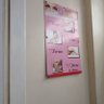Marimar profil fotoğrafı